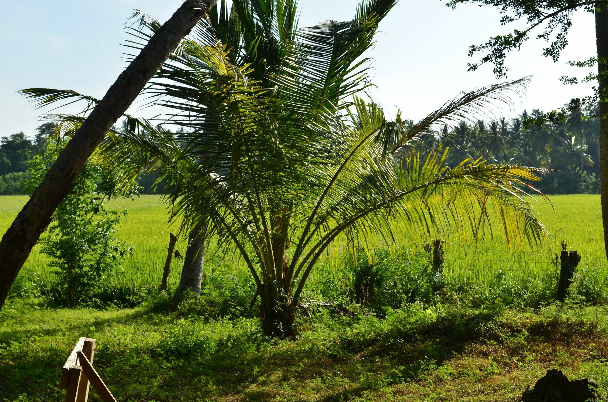 Vallee 69 Eco Villa-Tissa,Yala Tissamaharama Exterior foto